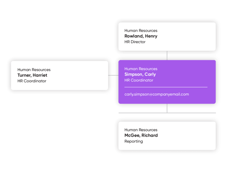 Aurion Organisational Structure